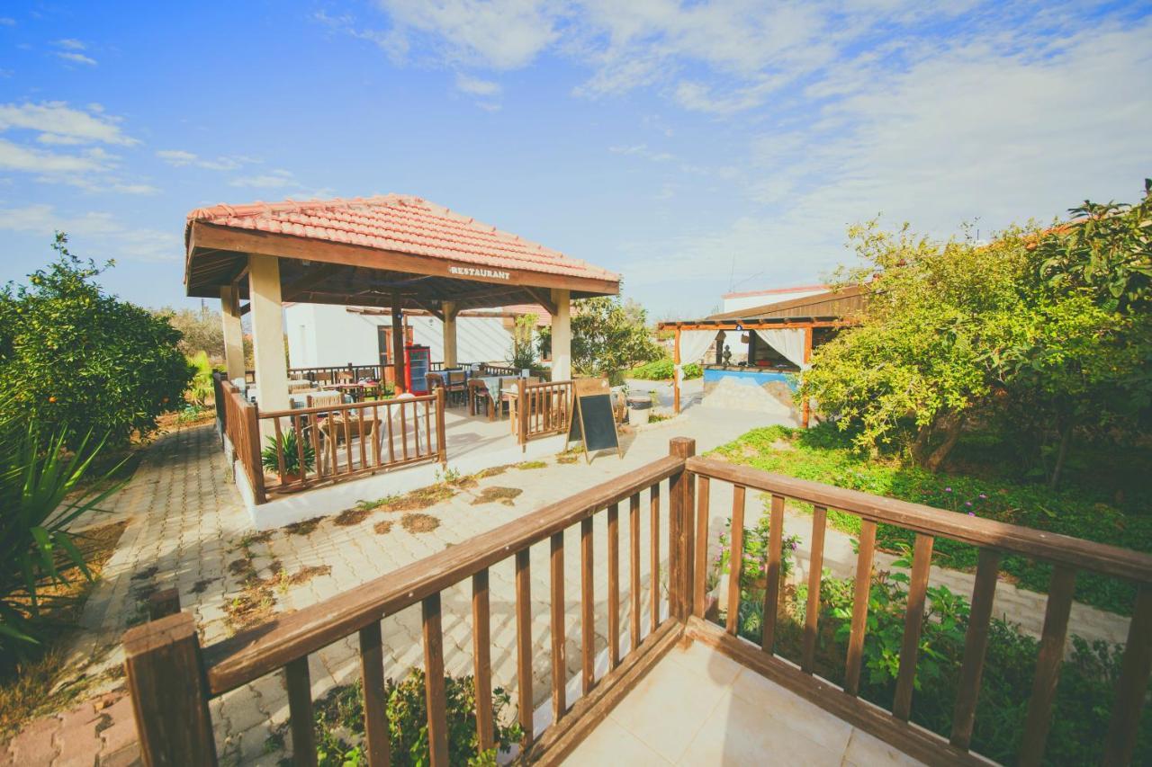 Castle Karpasia Guest House Authentic Atmosphere ! Rizokarpaso ภายนอก รูปภาพ