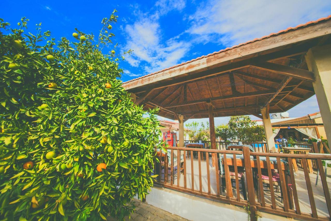 Castle Karpasia Guest House Authentic Atmosphere ! Rizokarpaso ภายนอก รูปภาพ