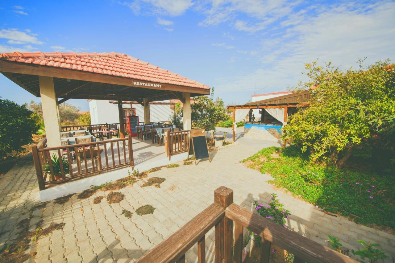 Castle Karpasia Guest House Authentic Atmosphere ! Rizokarpaso ภายนอก รูปภาพ